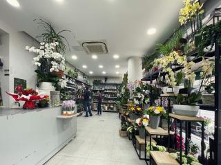 Fleuriste Issy Fleurs - Bougies Baobab - Fleuriste 2