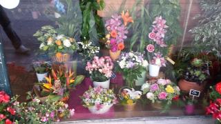Fleuriste Tous les Jardins du Monde 0