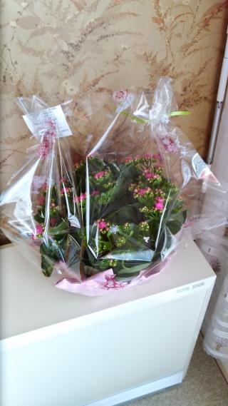 Fleuriste Flory Nath 0