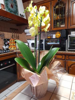 Fleuriste Petite Graine 2