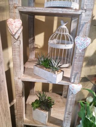 Fleuriste AU FIL DES SAISONS 2