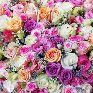 Fleuriste Aux Fleurs de Marie - Terre de Provence, Artisan Fleuriste 0