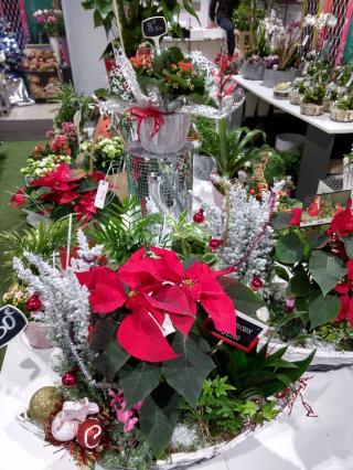 Fleuriste Fleurdelisée 0