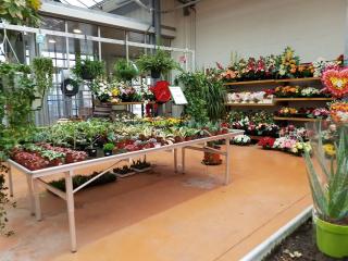 Fleuriste Jardizoo 0