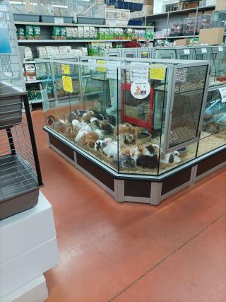 Fleuriste Jardizoo 0