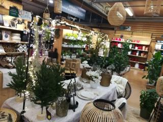 Fleuriste botanic® Nancy Heillecourt 0