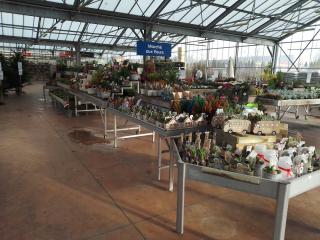 Fleuriste Côté Nature Abbeville 2