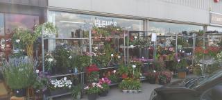 Fleuriste Ambiance des Orchidées 0