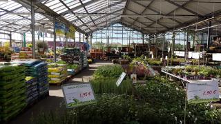 Fleuriste Jardinerie Tarnaise Albi 1