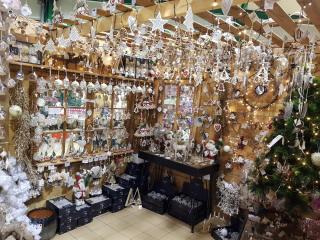 Fleuriste Jardinerie Tarnaise Albi 0