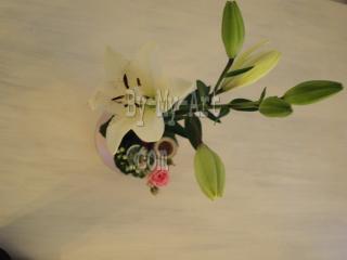 Fleuriste Au Naturel 0