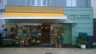 Fleuriste A la Violette de Toulouse 1