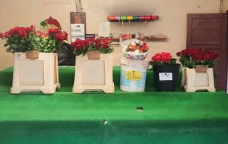 Fleuriste Roses d'Antibes- CANTATORE 1