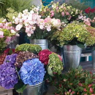 Fleuriste CHEZ LE FLEURISTE 0