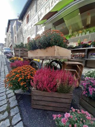 Fleuriste De Feuilles en Fleurs 0