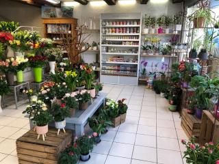 Fleuriste Coralie Orme Fleurs 2