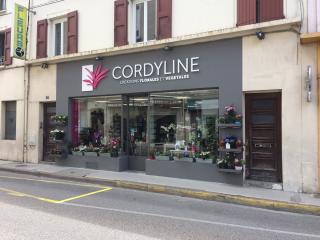 Fleuriste Cordyline Fleuriste 0