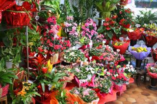 Fleuriste Trastour Fleurs 0