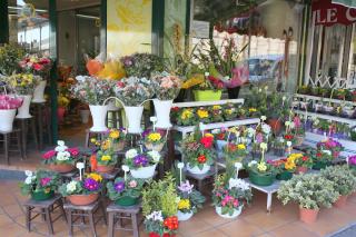 Fleuriste Trastour Fleurs 0