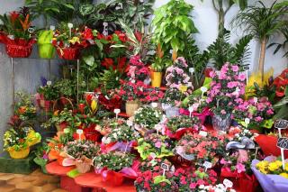 Fleuriste Trastour Fleurs 0