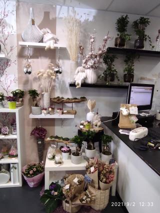 Fleuriste Fleurs Et Design Concept 0