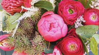 Fleuriste Aureline Fleur, Artisan Fleuriste Albi 1