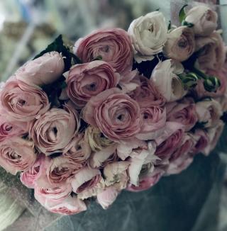 Fleuriste Aureline Fleur, Artisan Fleuriste Albi 0