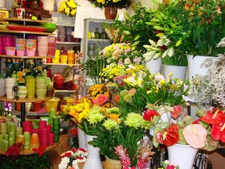 Fleuriste Aidesse Fleurs 0