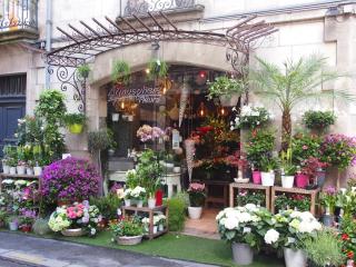 Fleuriste Atmosphère Fleurs 0