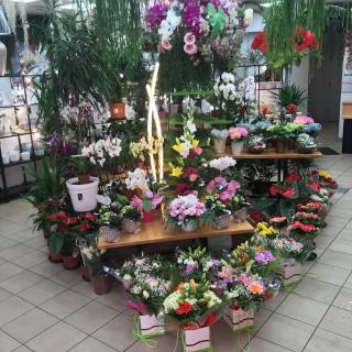 Fleuriste Le Temps des Fleurs 0