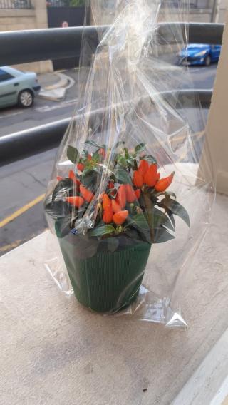 Fleuriste Les Fleurs de la Fontaine 0