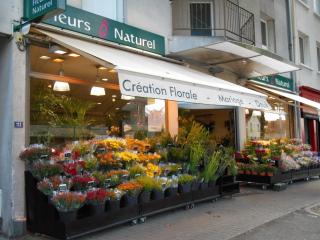 Fleuriste Fleurs Ô Naturel 0