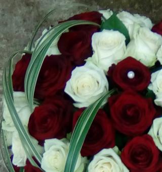 Fleuriste Gardénia 0