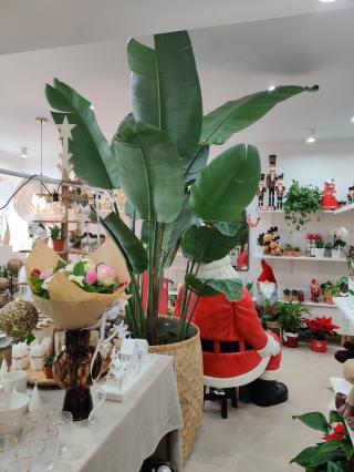 Fleuriste LA PASSION DES FLEURS 0