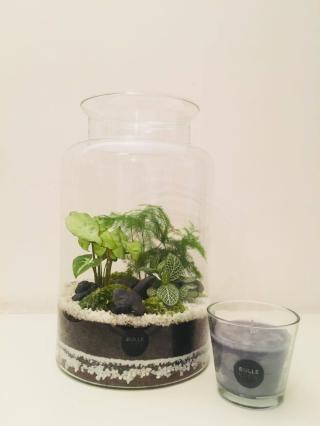 Fleuriste BULLEVERTE 0