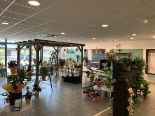 Fleuriste Fleurs de Coton Coutras 0