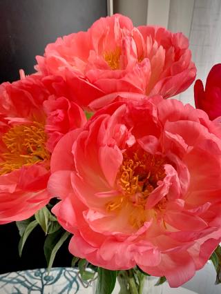 Fleuriste Christian Collin 0