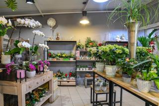Fleuriste AURELL FLEURS 2