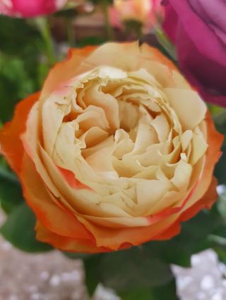 Fleuriste Les Roses de Pauline 0