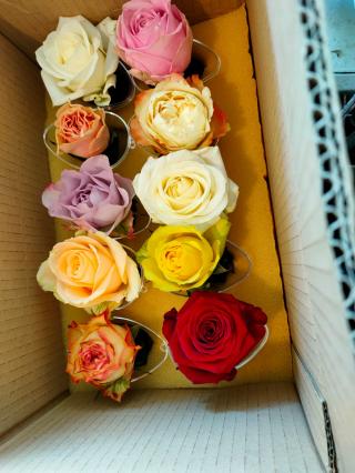 Fleuriste Les Roses de Pauline 0
