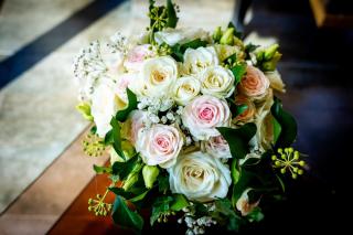 Fleuriste BOULE DE NEIGE 0