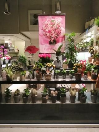 Fleuriste Au Nom De La Rose 1