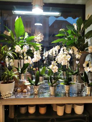 Fleuriste Aline Fleurs 0