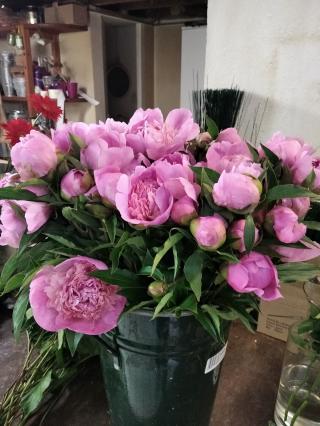 Fleuriste Aline Fleurs 0