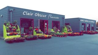 Fleuriste Clair Obscur 0