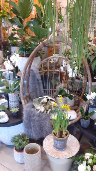 Fleuriste A l'ombre Des Tilleuls 0