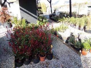 Fleuriste Cotier Jardin 0