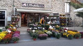 Fleuriste A l'orchidée & co 0