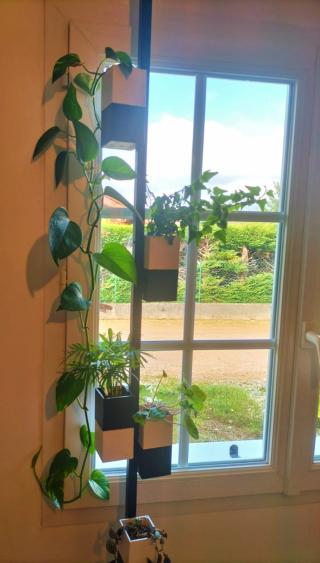 Fleuriste Capill'O concepts 0