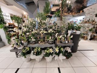 Fleuriste La Roche aux Fleurs INTERFLORA Maison Pouvreau 0